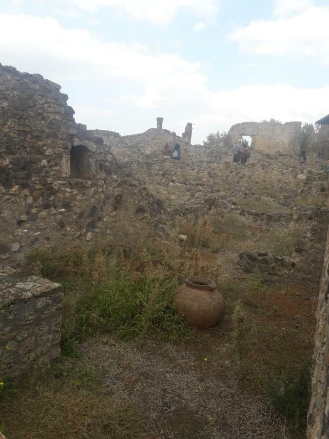דירות Rosy Monolocale Nel Centro Storico Di Torre Annunziata Di Fronte Scavi Oplonti מראה חיצוני תמונה